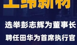 执行官最新爆料新闻,执行官最新爆料，揭开行业黑幕！”