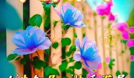 早安最新爆料图片大全集,最新图片大全集精彩瞬间回顾